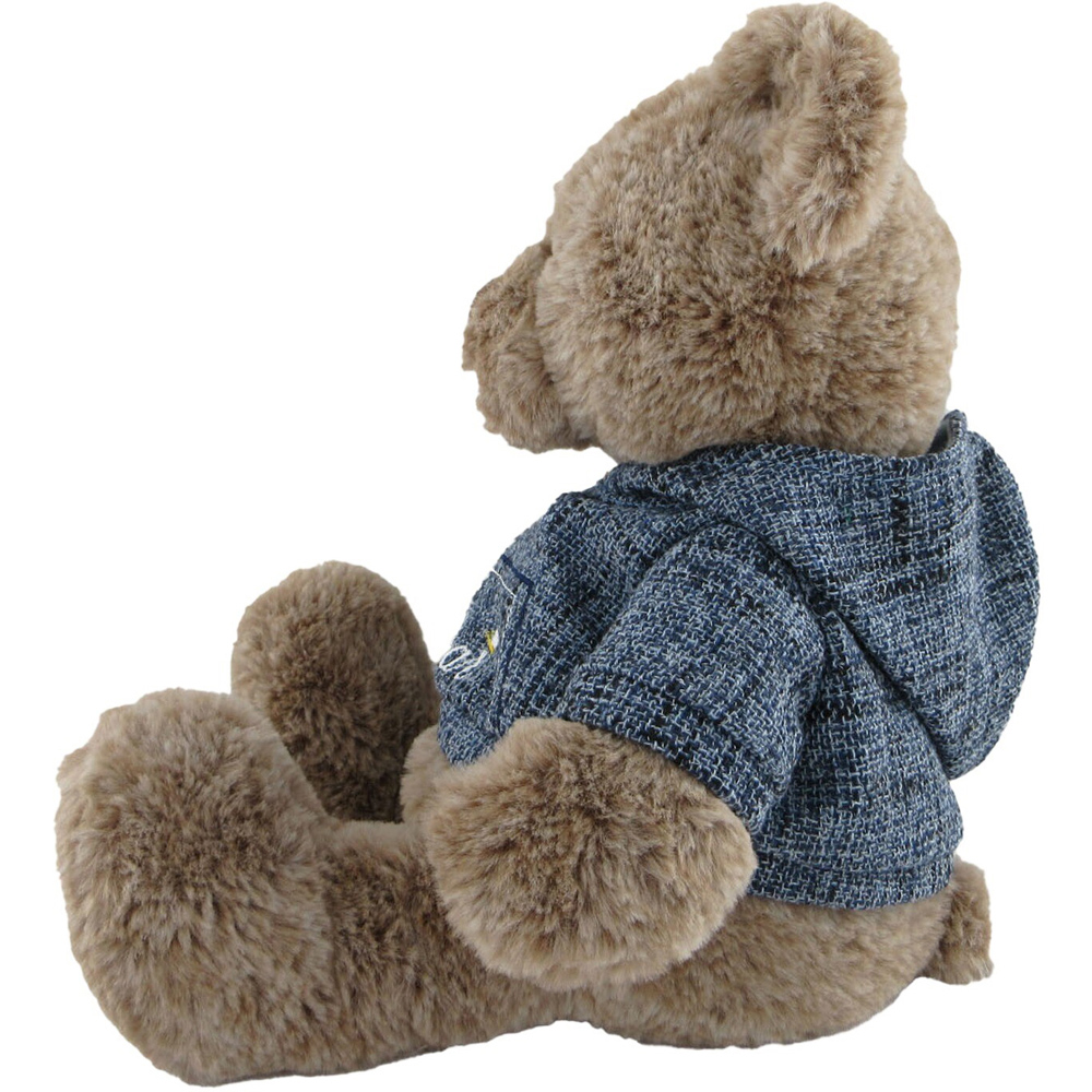 Clothed Teddy Bear Image 3