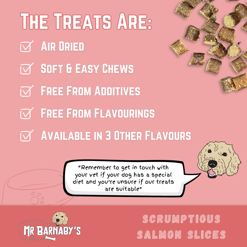 Mr Barnaby's Scrumptious Salmon Slices Dog Treats 2 Pack Image 6