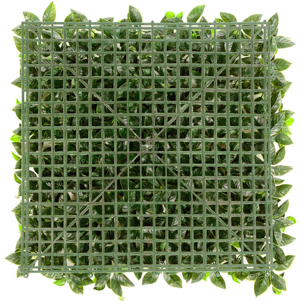 Pack of 12 50cm White Laurel Hedging Mat Image 4
