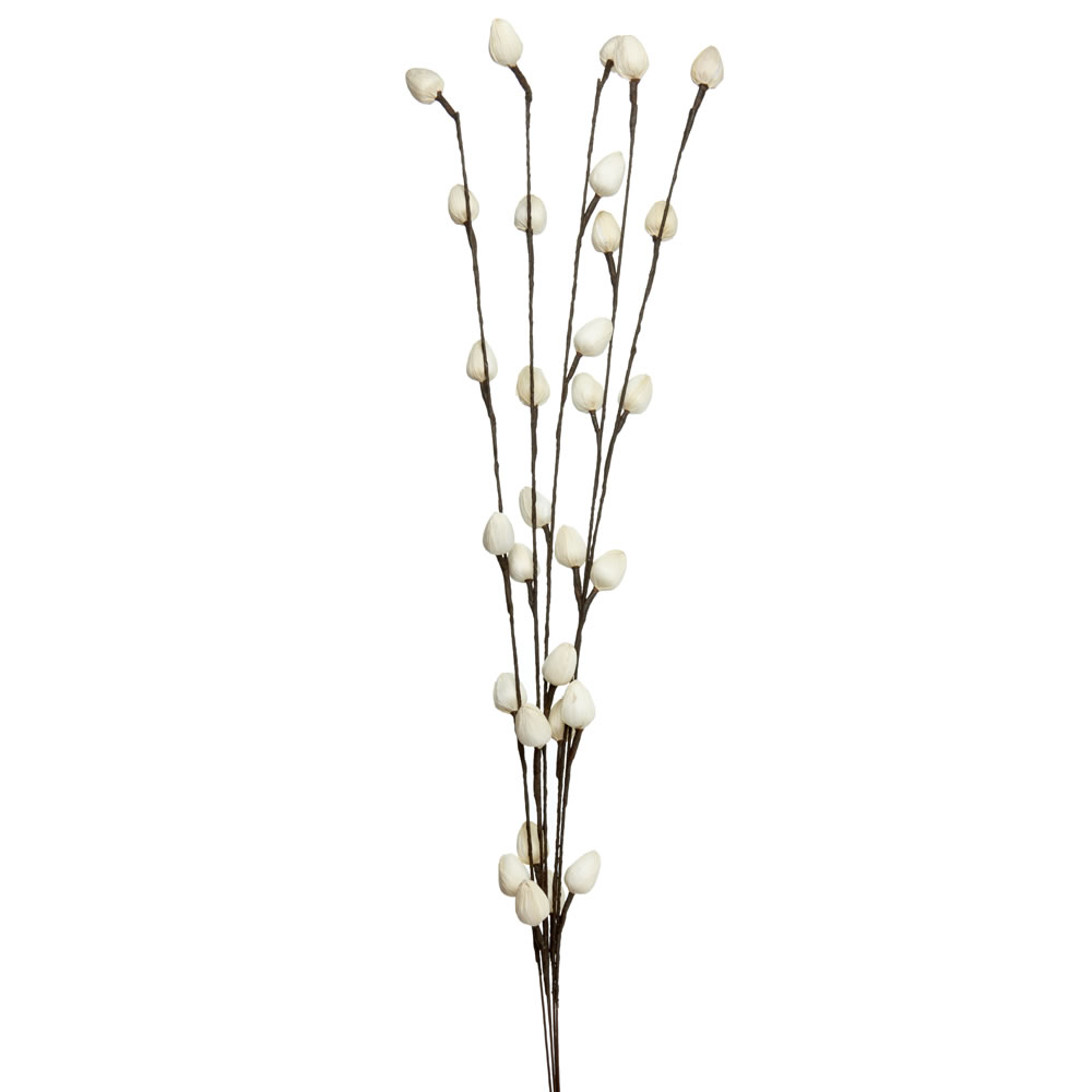 Wilko Pussy Willow Twigs Image