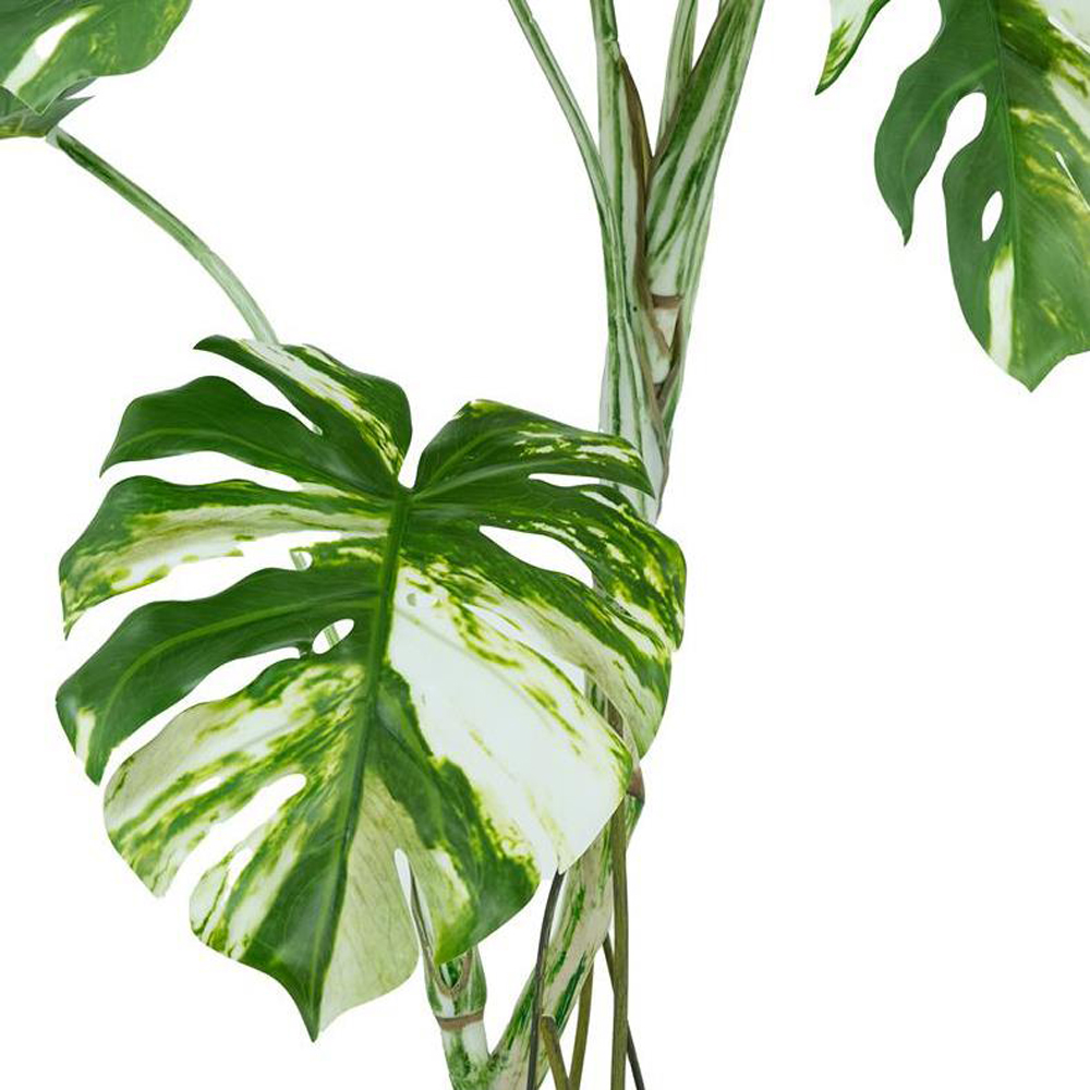Botanik Variegated Monstera Artificial Tree in Pot 4ft Image 2