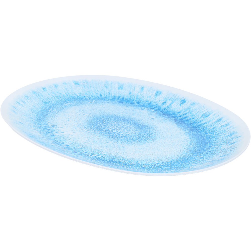 Neptune Oval Serving Platter Blue Image 5