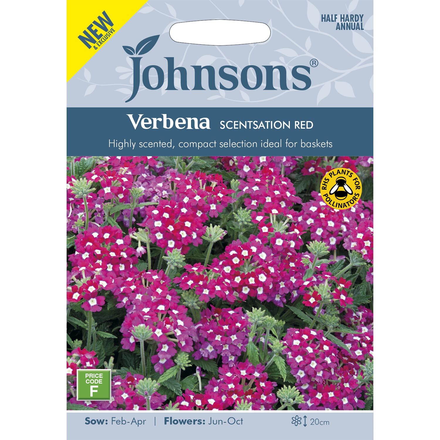 Johnsons Verbena Scentsation Red Flower Seeds Image 2