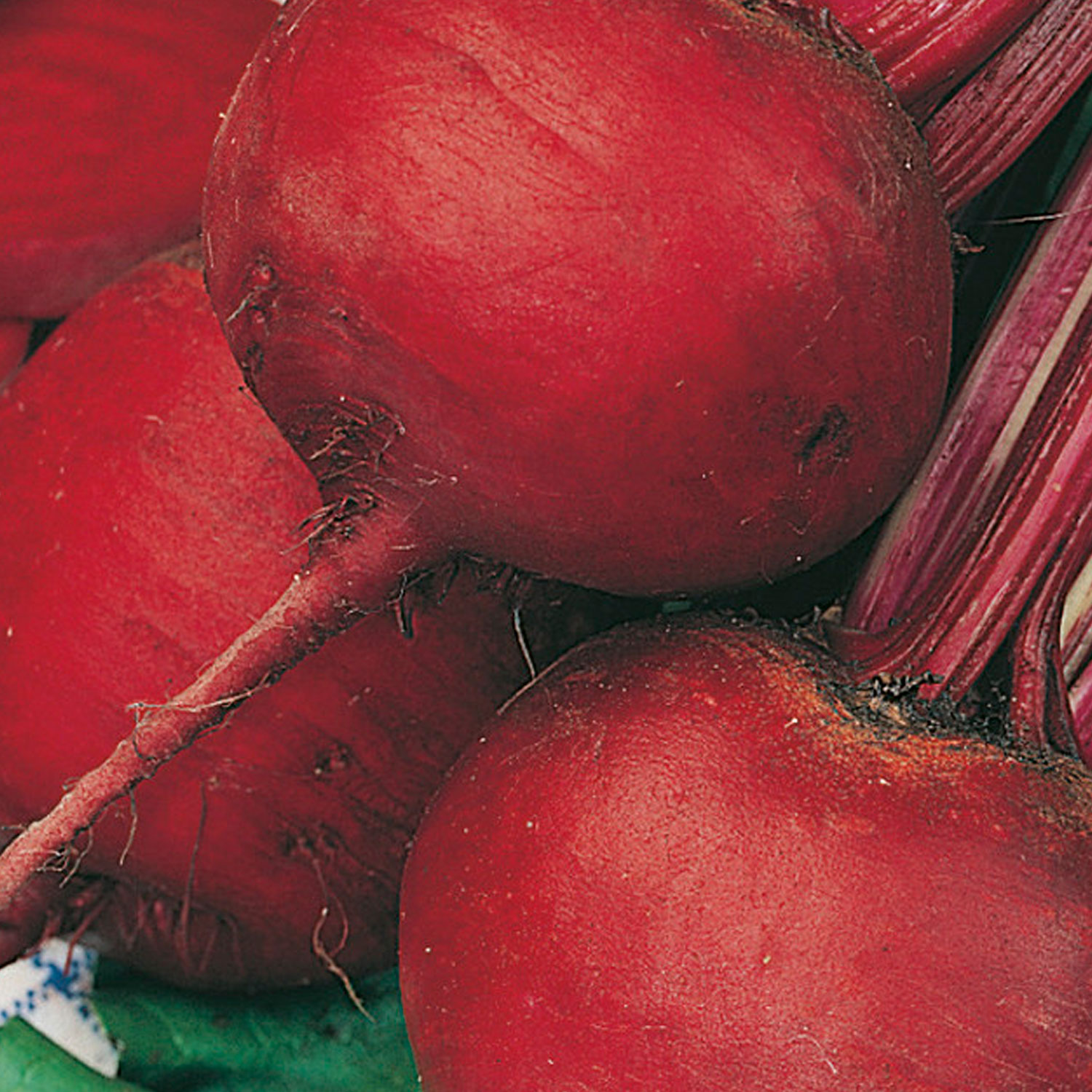 Johnsons Perfect 3 Beetroot Seeds Image 1