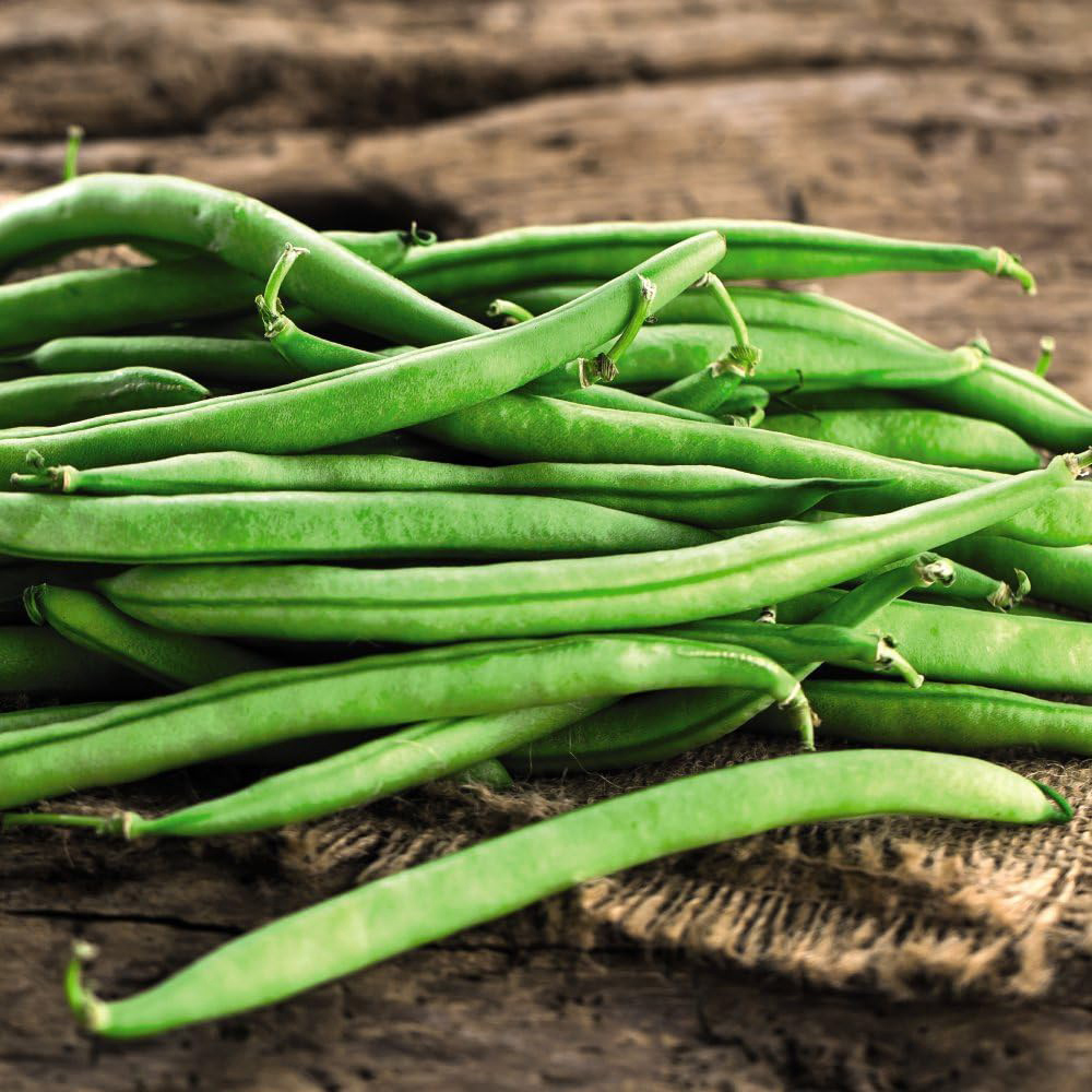 Thompson and Morgan Climbing French Bean Cobra Seeds Image 2