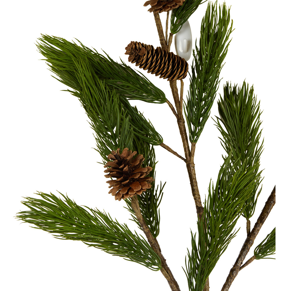 Natural Pinecone Branch Image 4