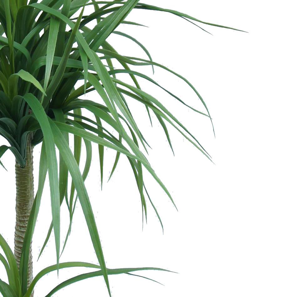 Botanik Double Dracaena Artificial Plant in Pot 3ft Image 2