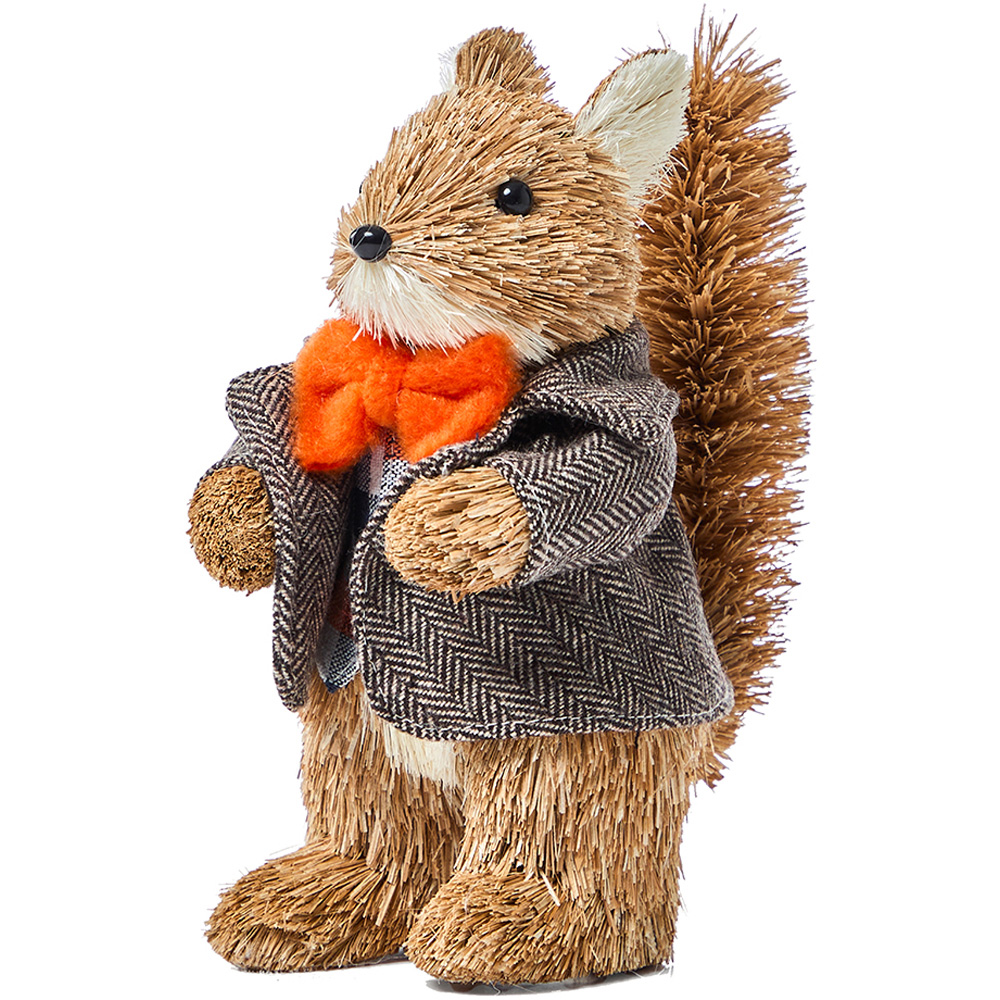 Benross Anika Mr Squirrel Straw Decor 19cm Image 1