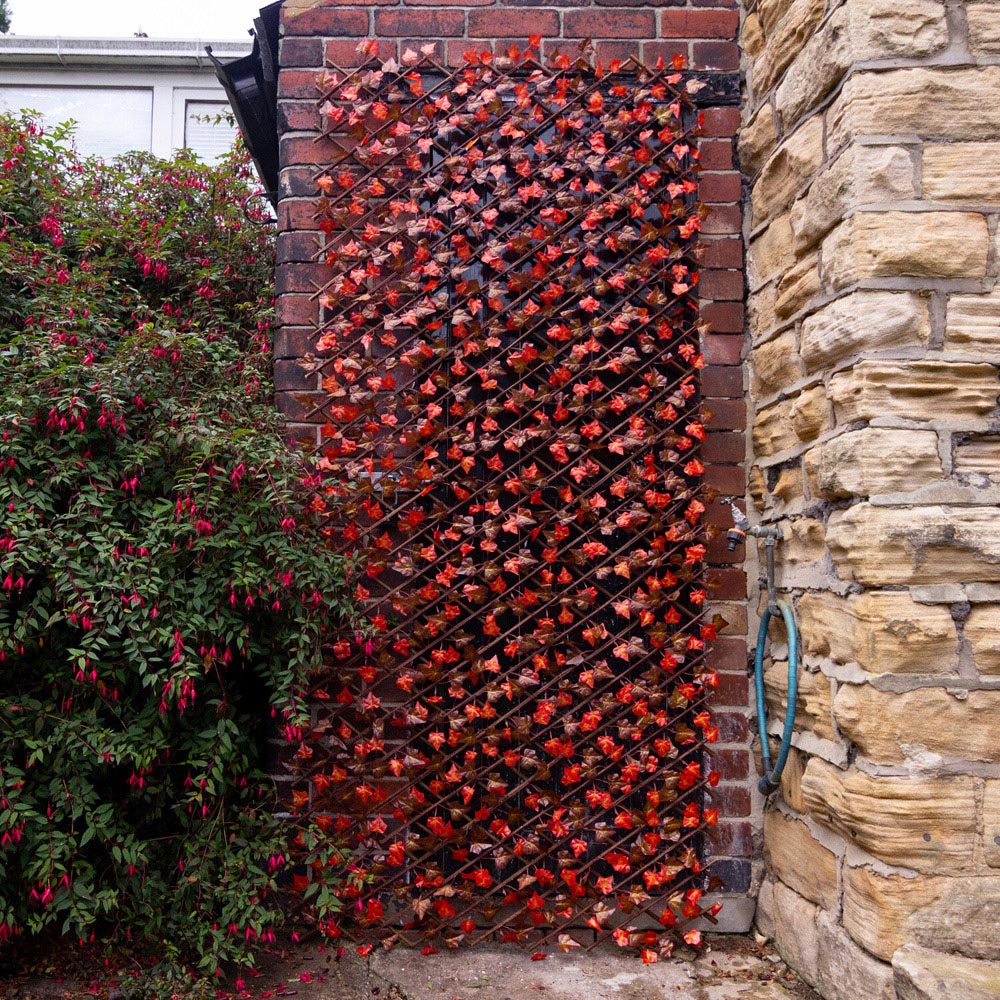 Expanding  Willow Trellis  - Autumn Leaf Image 2