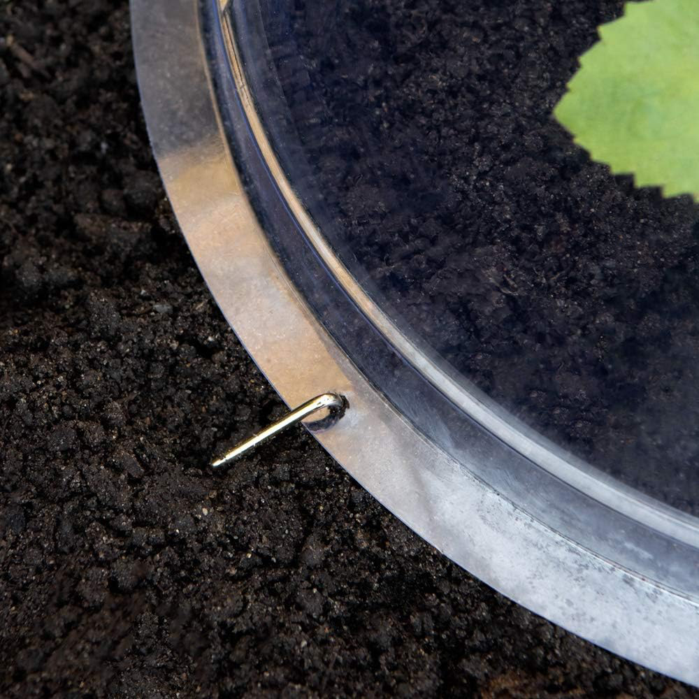 Garden Gear Bell Cloche 33.5 x 30cm 3 Pack Image 5