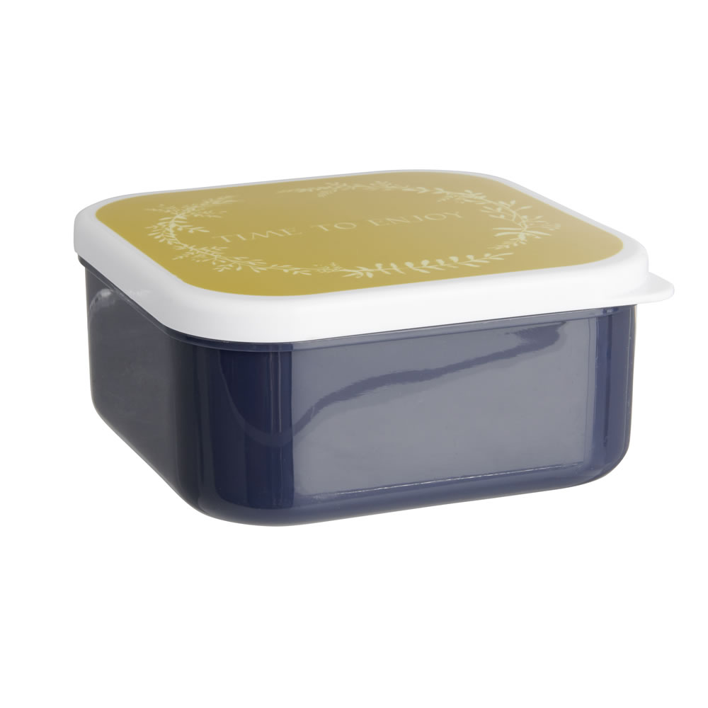 Wilko Treasured Food Containers Assorted Wilko