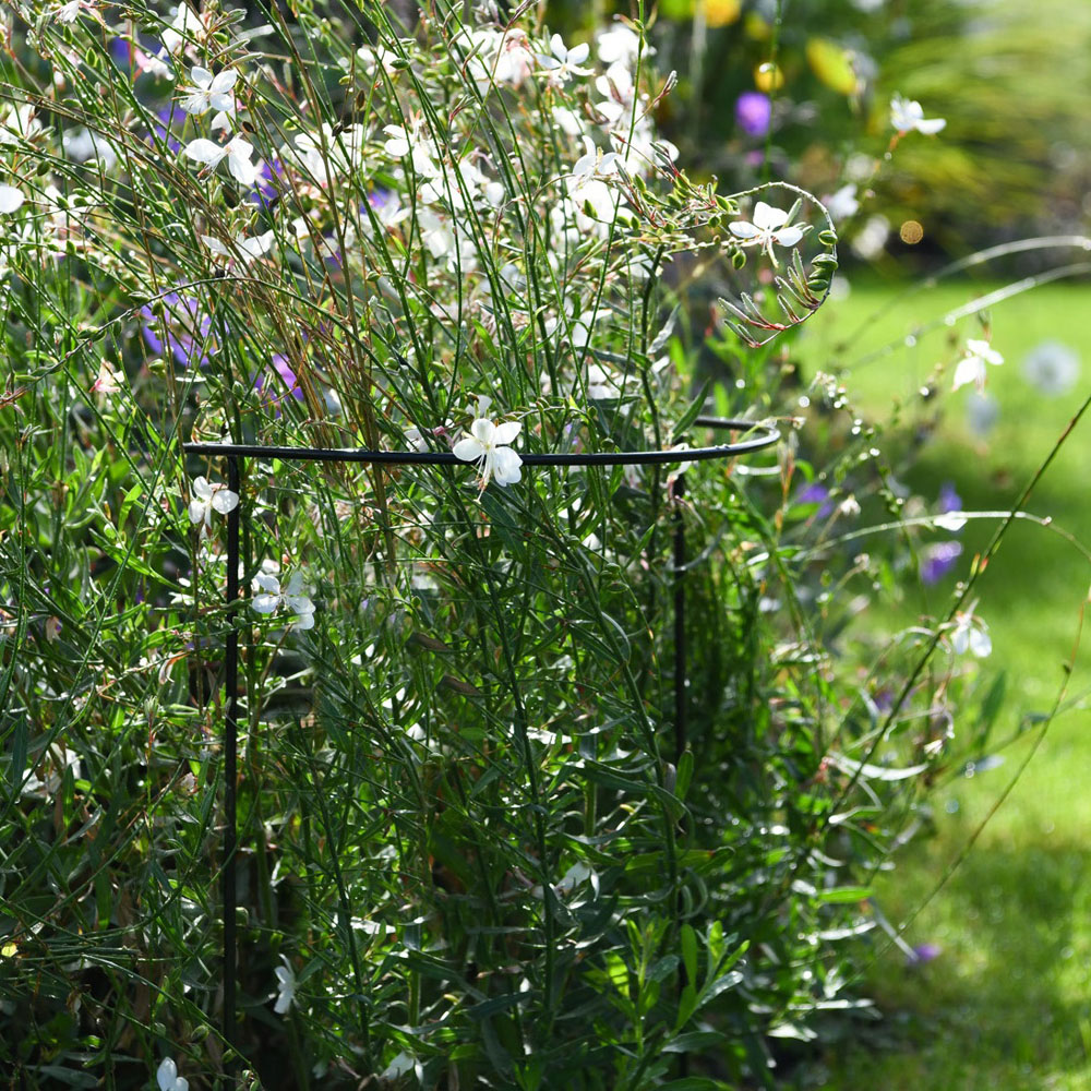 Garden Gear Half Round Plant Support 60cm 2 Pack Image 2