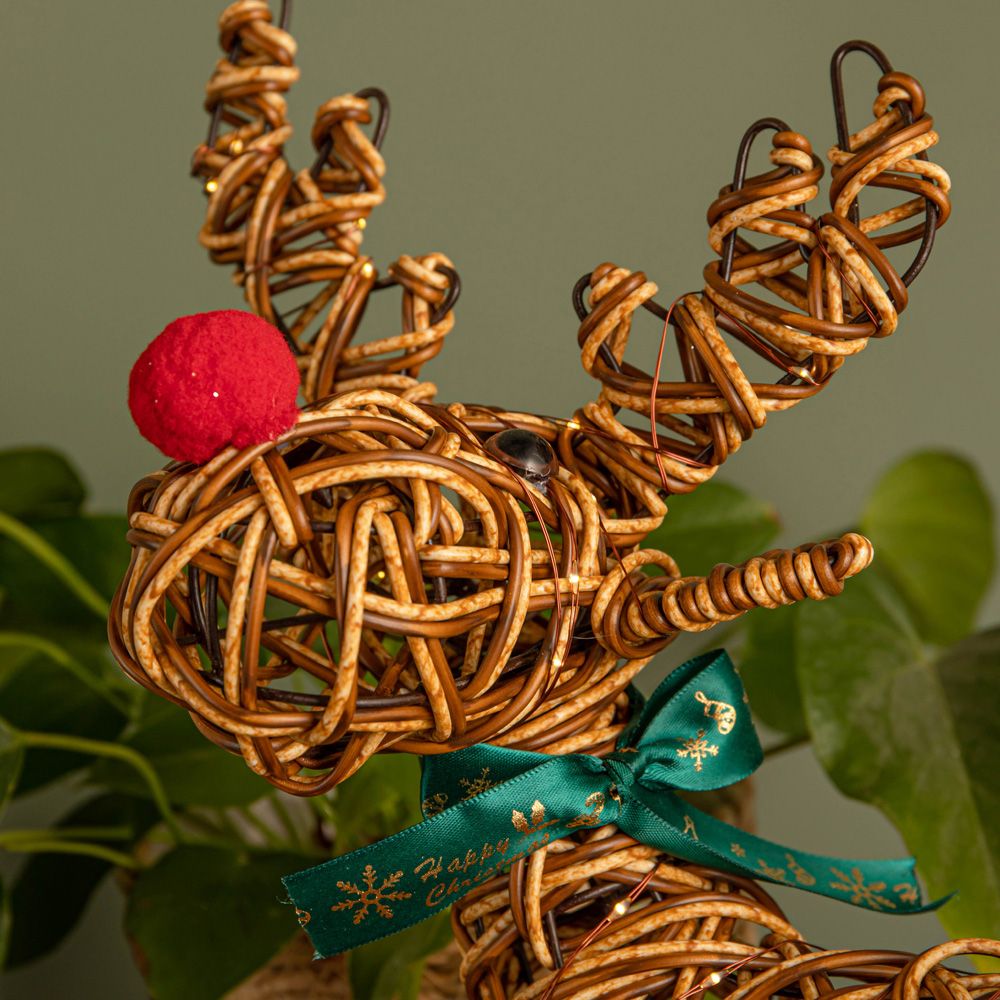Samuel Alexander Light Up Brown Reindeer Christmas Decoration with Red Nose Image 5