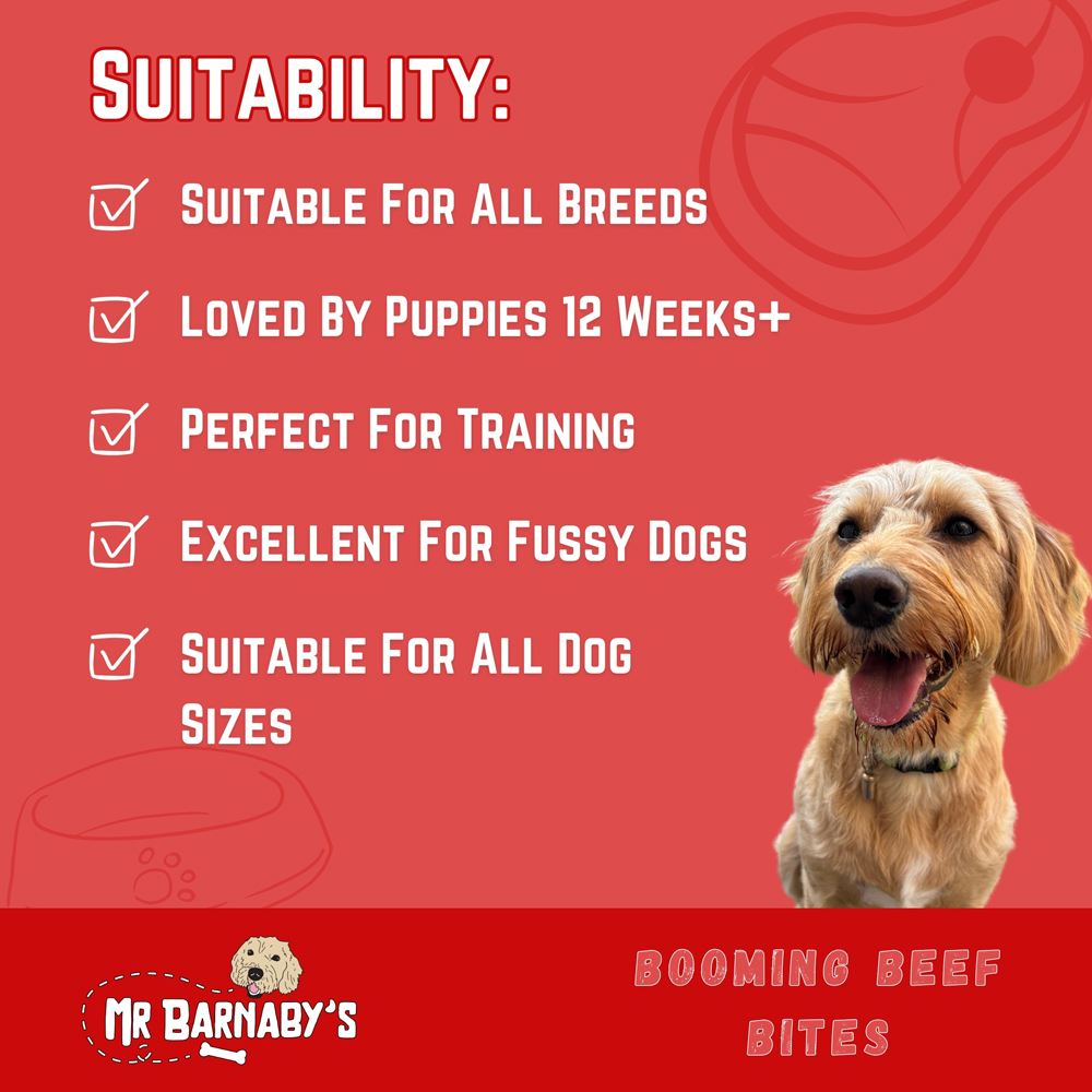 Mr Barnaby's Booming Beef Bites Dog Treats 6 Pack Image 5