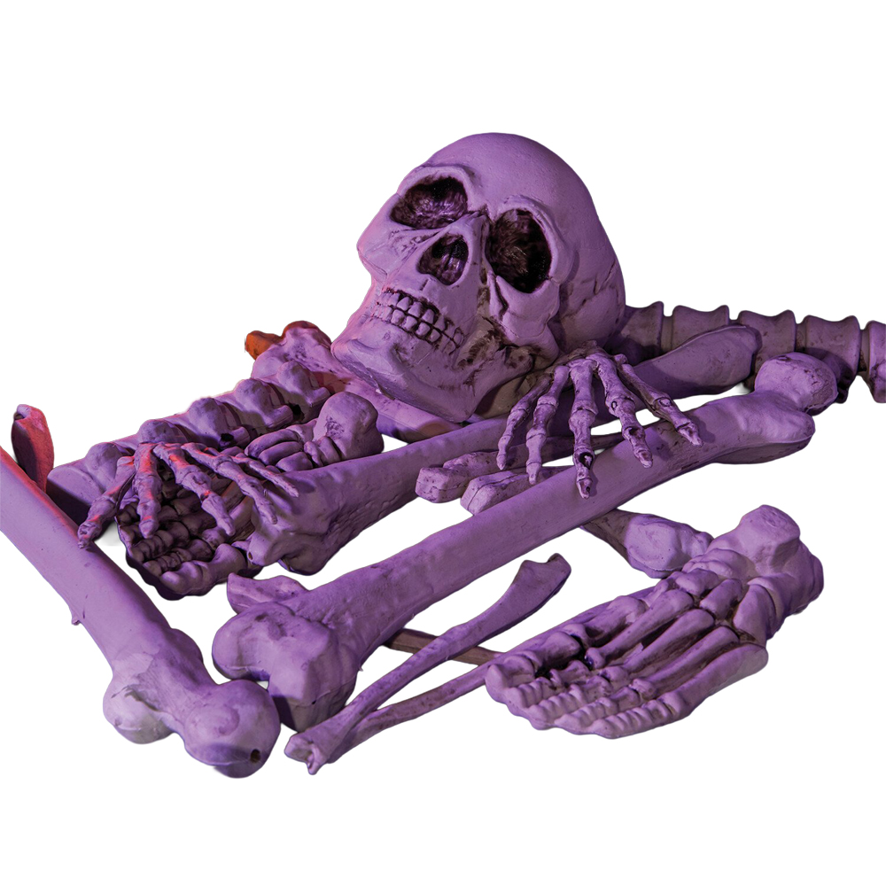 Bag Of Bones Image 1