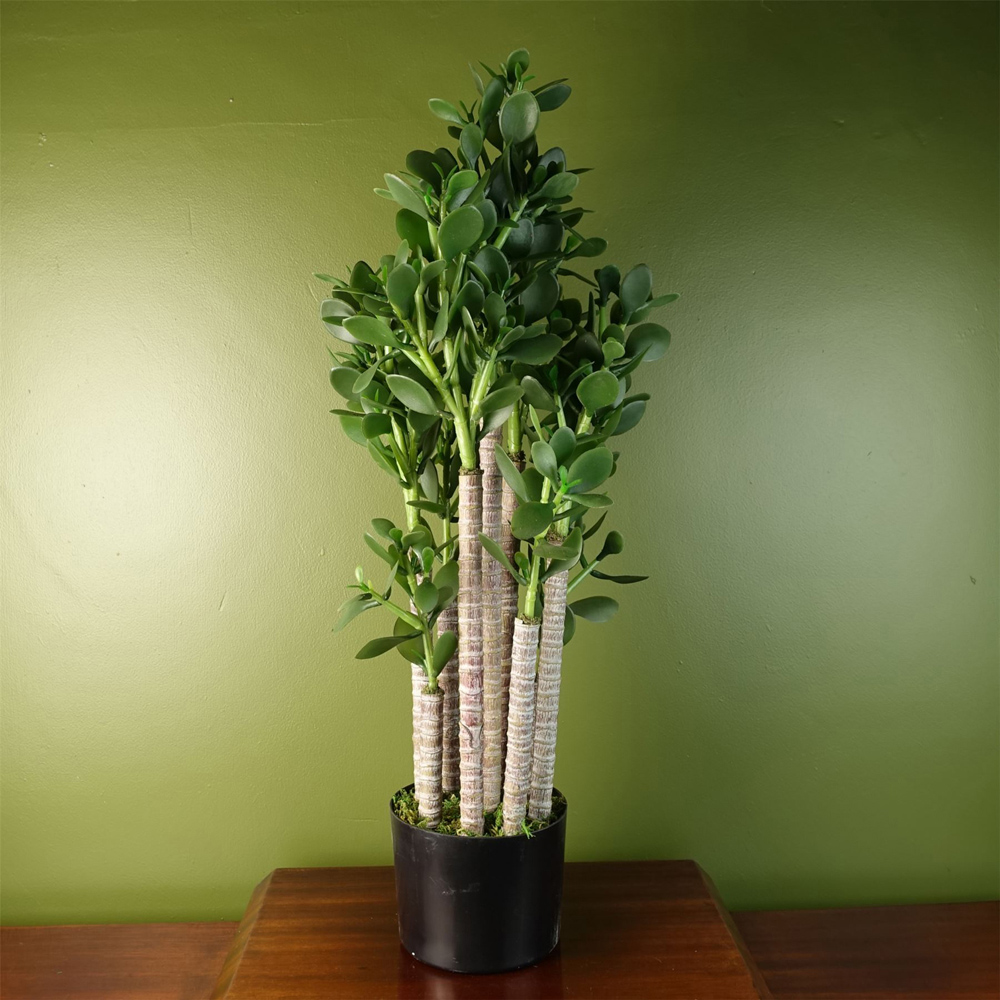 Botanik Green Jade Shrub Artificial Plant in Pot 75cm Image 2