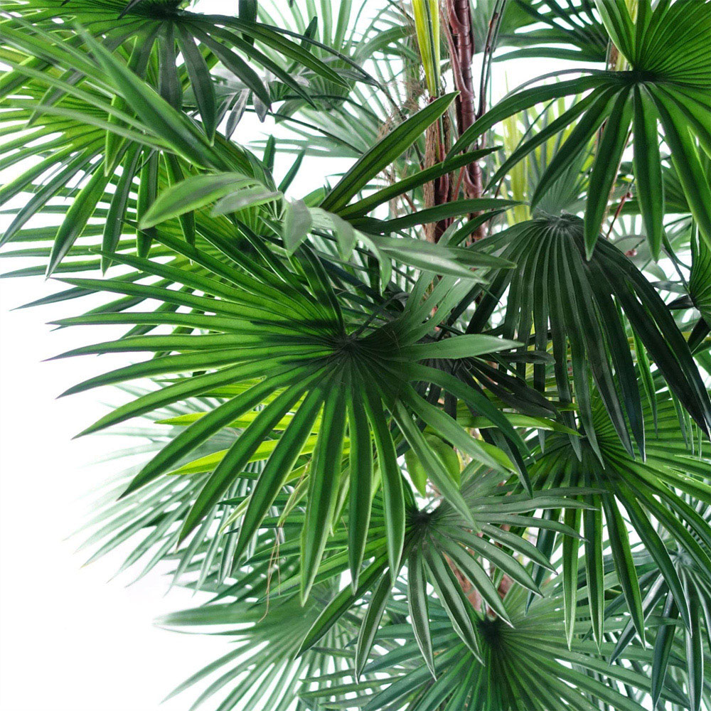 Leaf Raphis Palm Artificial Tree 120cm Image 2
