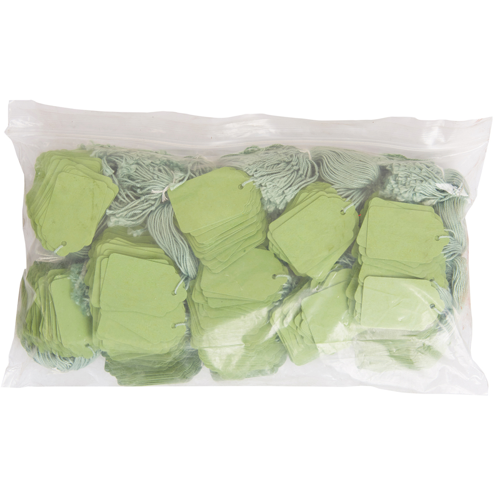 Blick Green Rectangular Tags Strung 1000 Labels 4.5 x 2.8cm Image 3