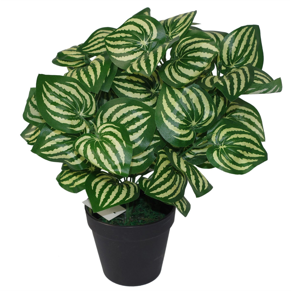 Botanik Watermelon Foliage Artificial Plant in Pot 40cm Image 3