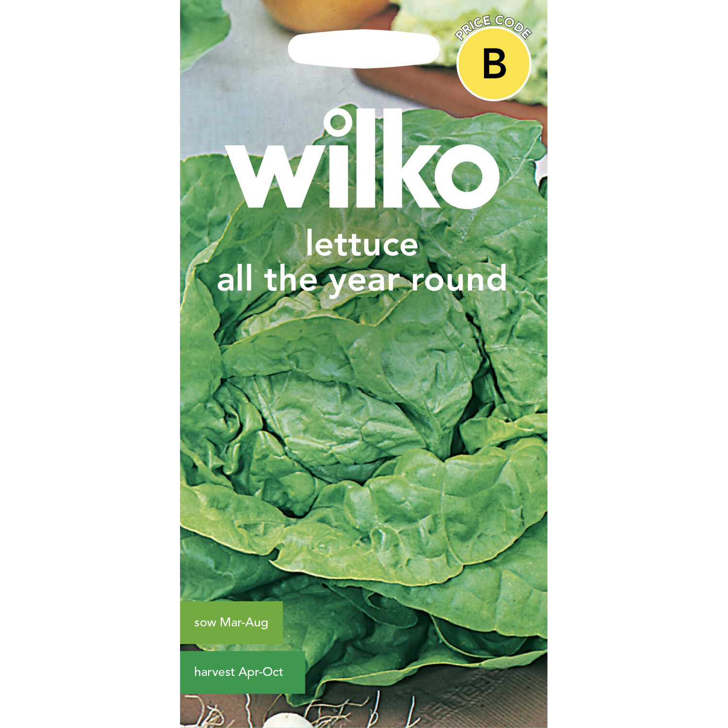 Wilko All Year Round Lettuce Seeds Image 1
