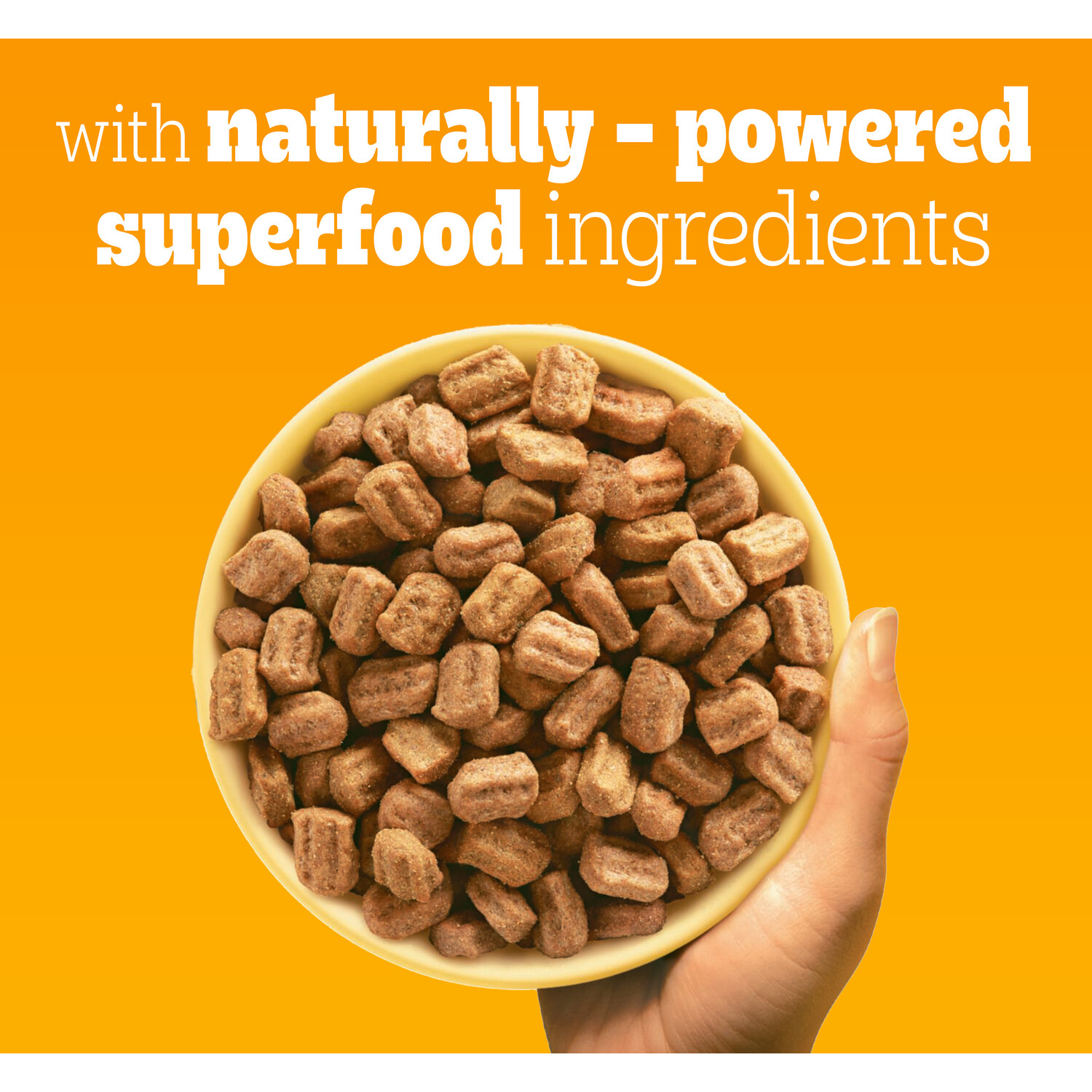 Pedigree Complete Dry Adult Dog Food Image 5