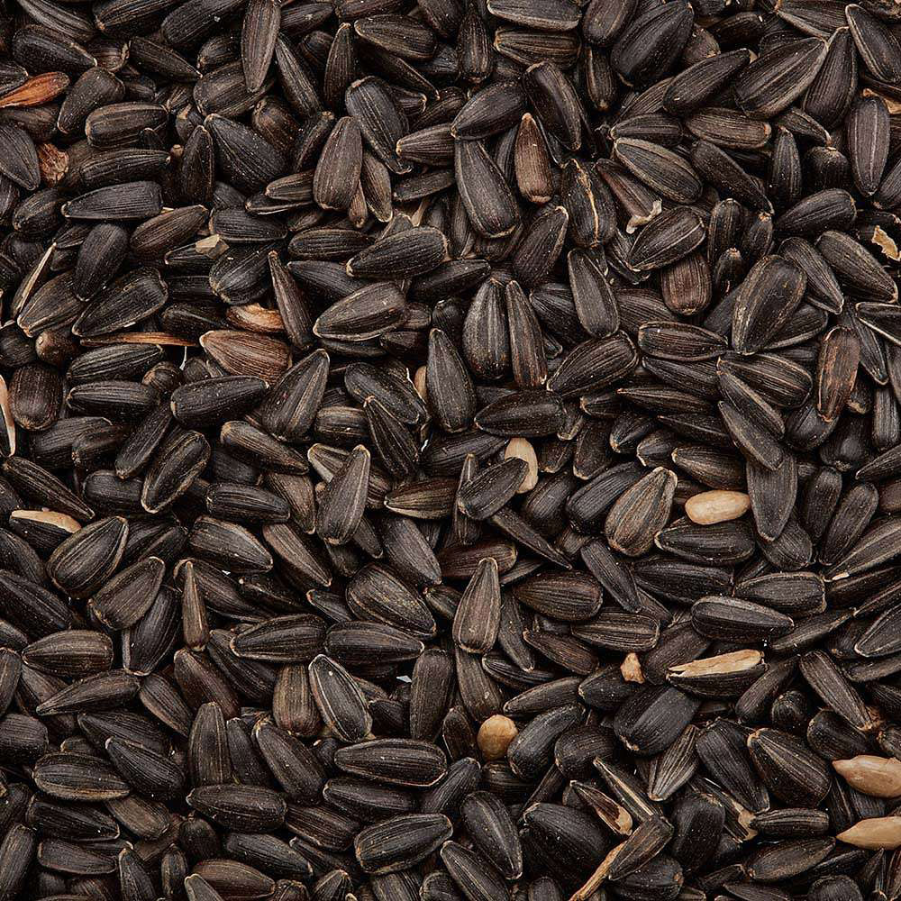 Happy Beaks Black Sunflower Seed Bird Food 12.75kg Image 5