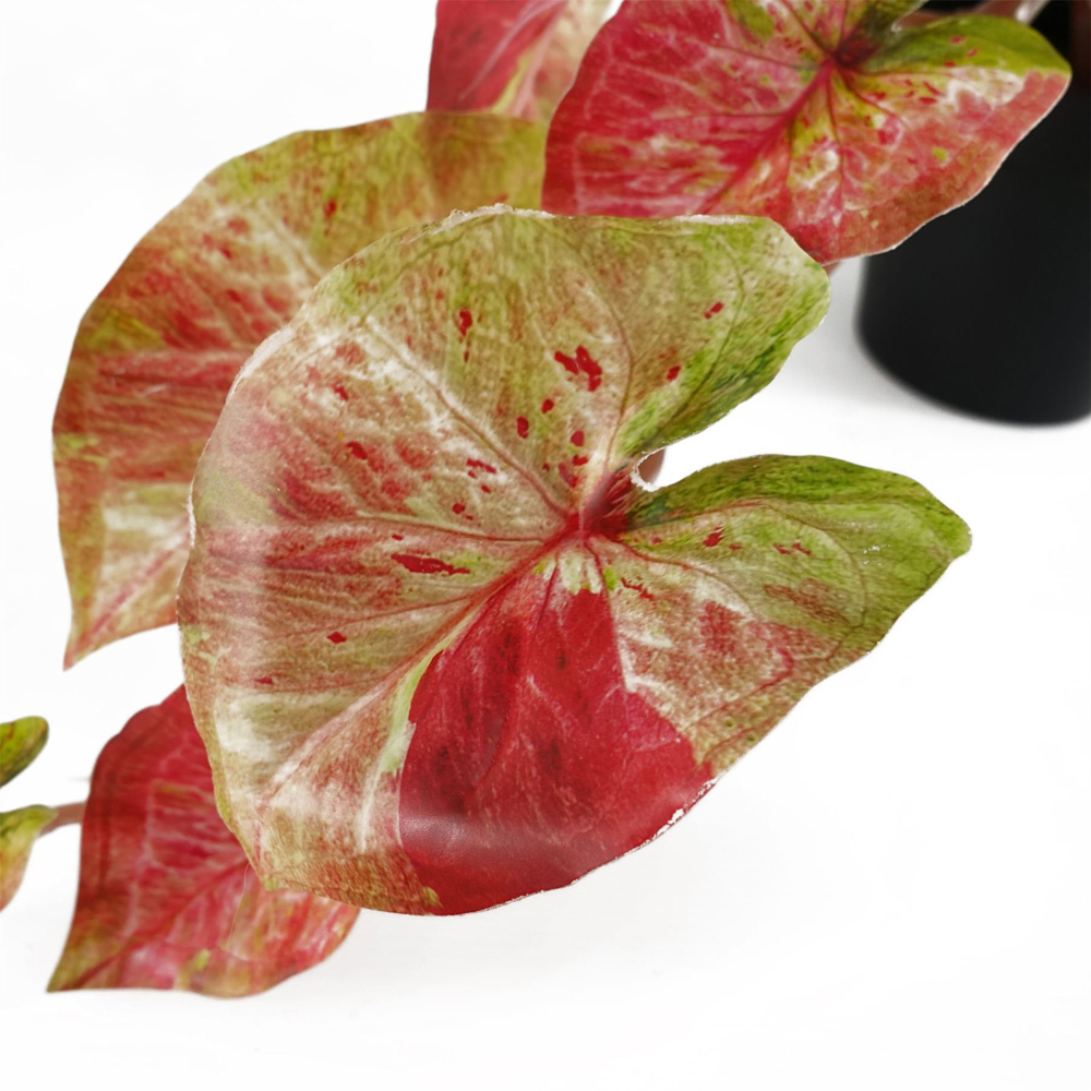 Leaf Pink Trailing Splash Caladium Hanging Artificial Plant 35cm Image 2