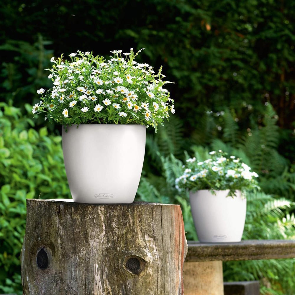 Lechuza Classico White Polyresin Self Watering Planter Pot 28cm 2 Pack Image 2