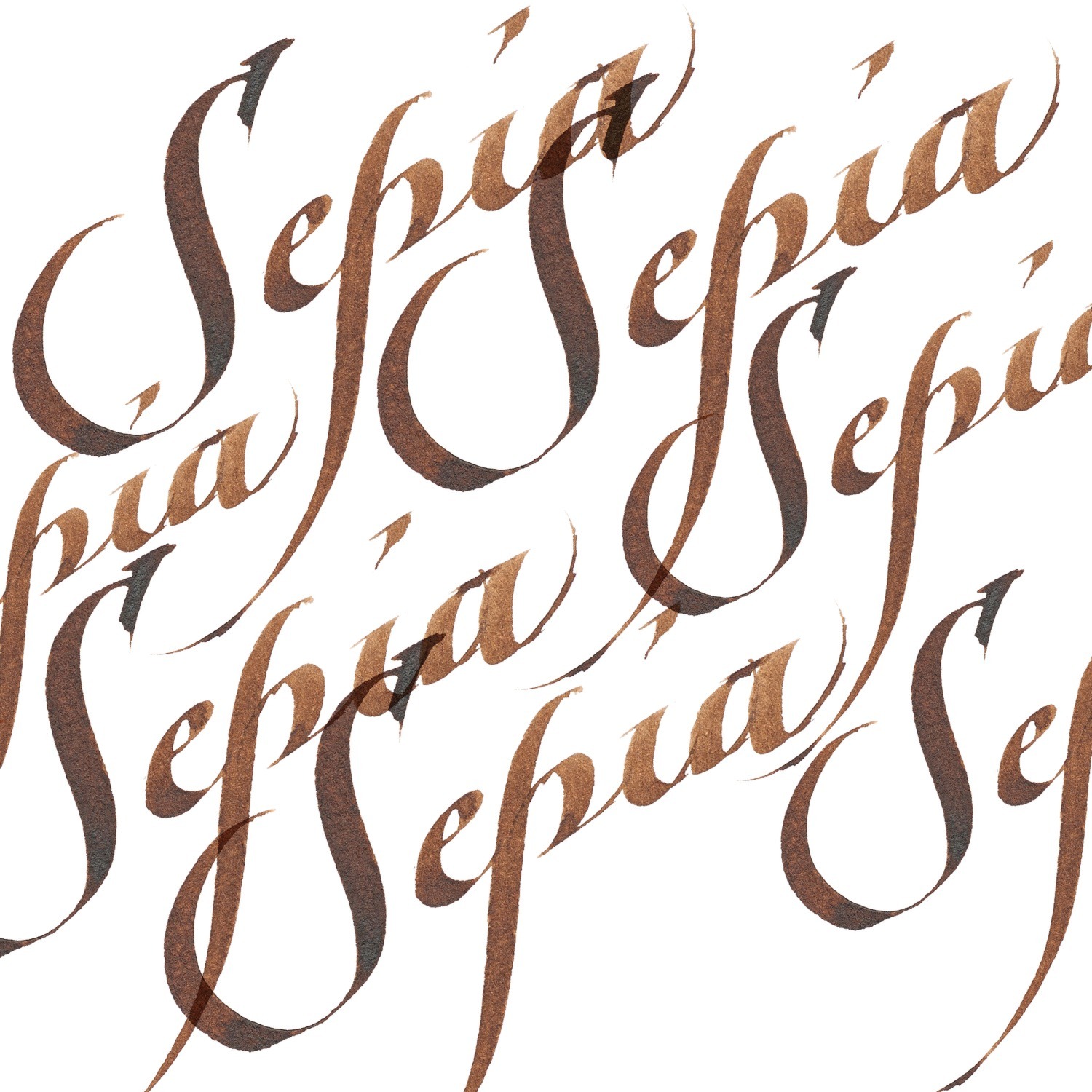Winsor and Newton 30ml Calligraphy Ink - Sepia Image 2