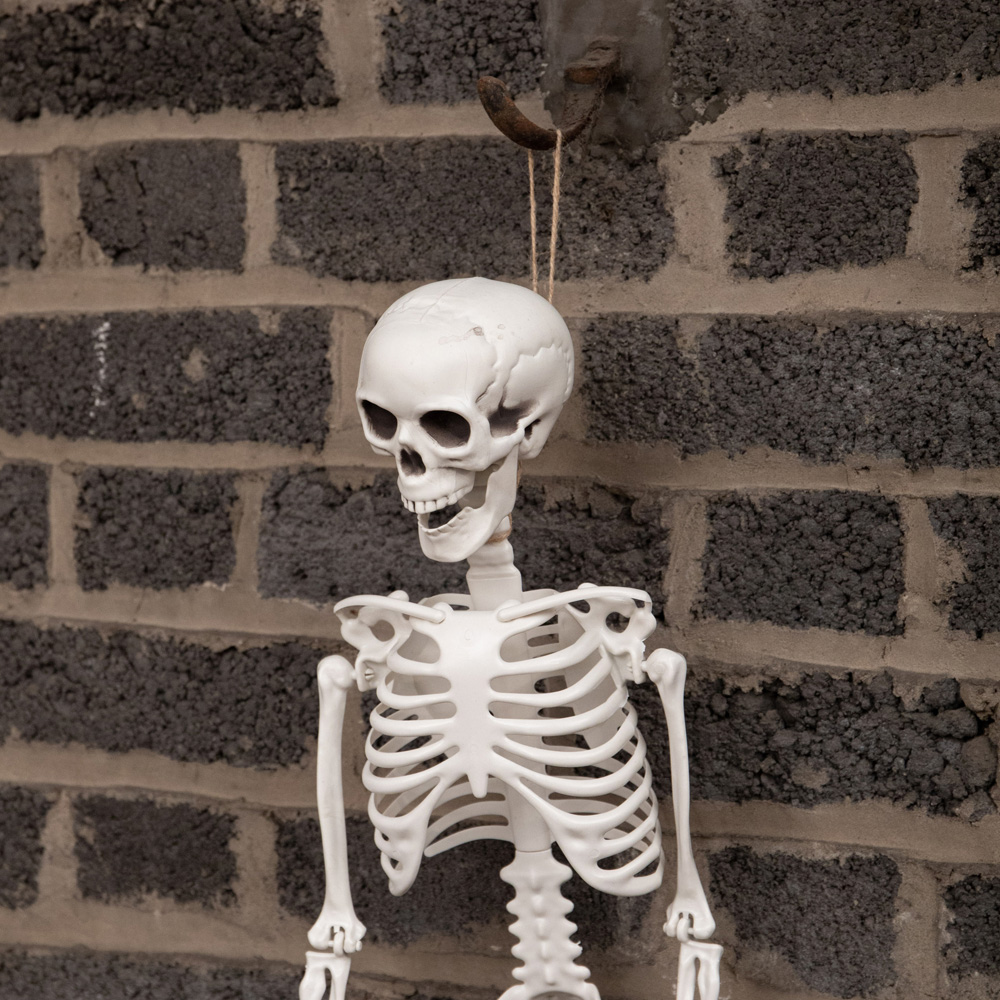 Samuel Alexander Posable Full Body Skeleton Halloween Decoration 3ft Image 5