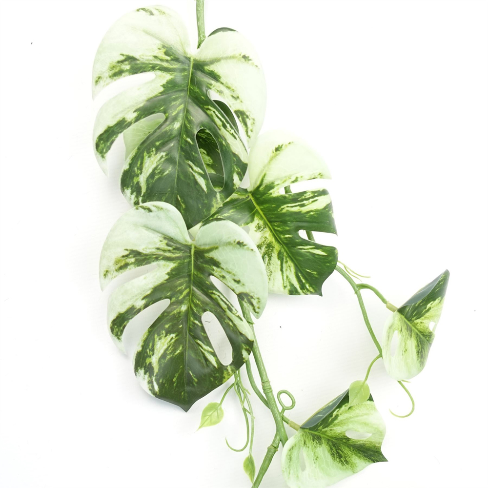 Leaf Trailing Variegated Monstera Hanging Artificial Plant 6ft Image 2
