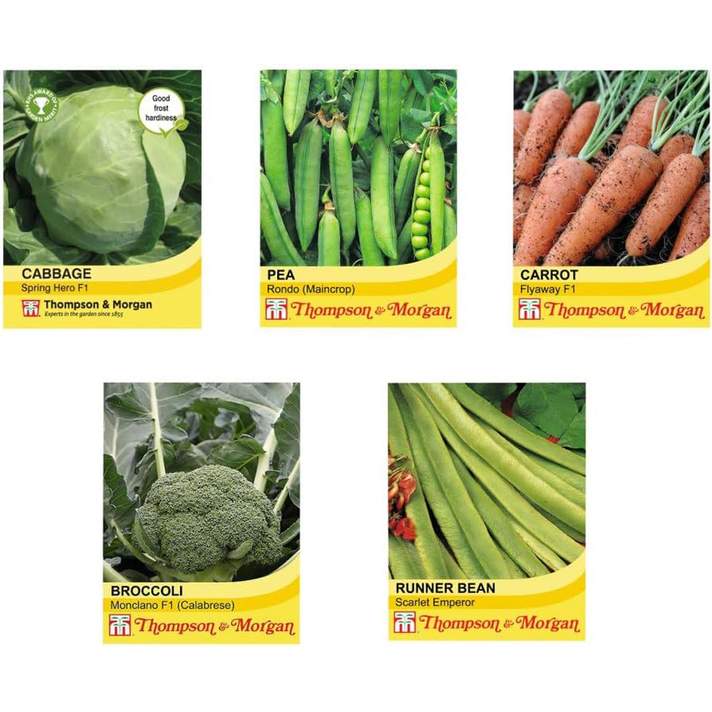 Thompson and Morgan Potato Patio Kit Image 5