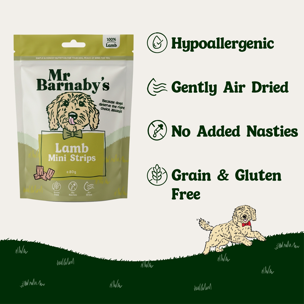 Mr Barnaby's Lamb Mini Strips Dog Treats 80g 4 Pack Image 5