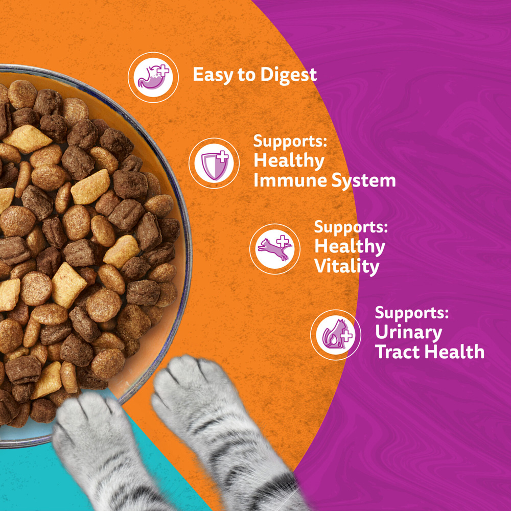 Whiskas 1 Plus Duo Surf and Turf Dry Cat Food Image 6