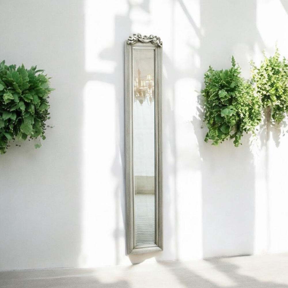 Acacia Home Silver Framed Slim Wall Mirror 109 x 13cm Image 2