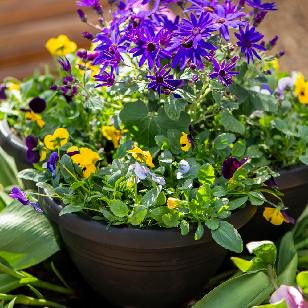 Garden Gear Single Layer Stacking Pot 17cm Image 6