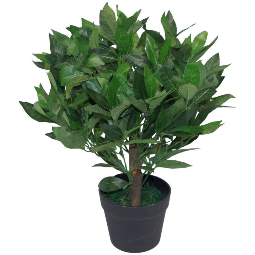 Leaf Bay Laurel Topiary Ball Artificial Tree Pot 1.6ft Image