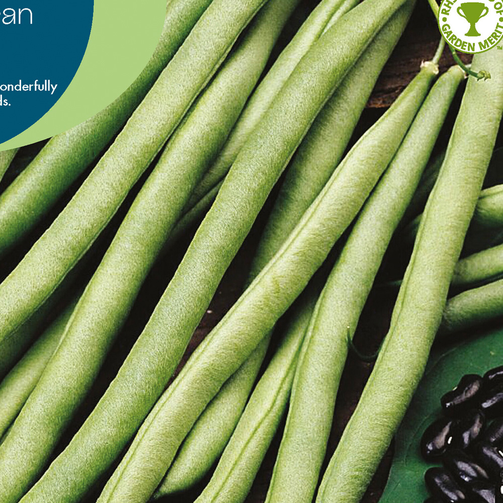Cobra Climbing French Bean Vegetable Seeds Image 2