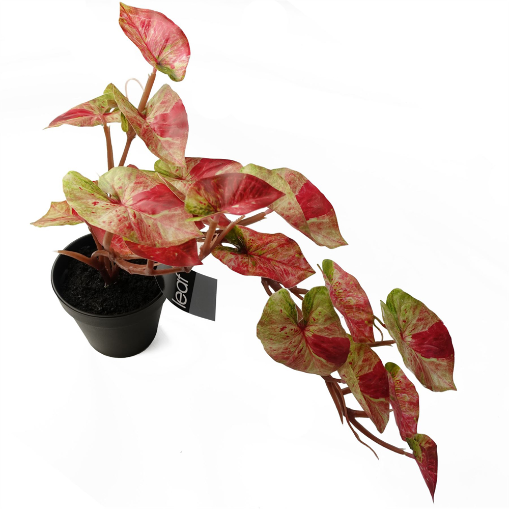 Leaf Pink Trailing Splash Caladium Hanging Artificial Plant 35cm Image 4