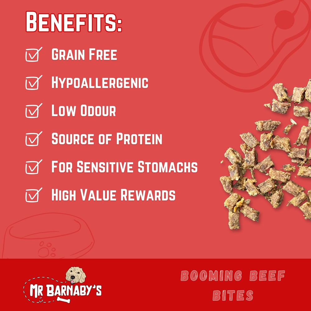 Mr Barnaby's Booming Beef Bites Dog Treats 2 Pack Image 4