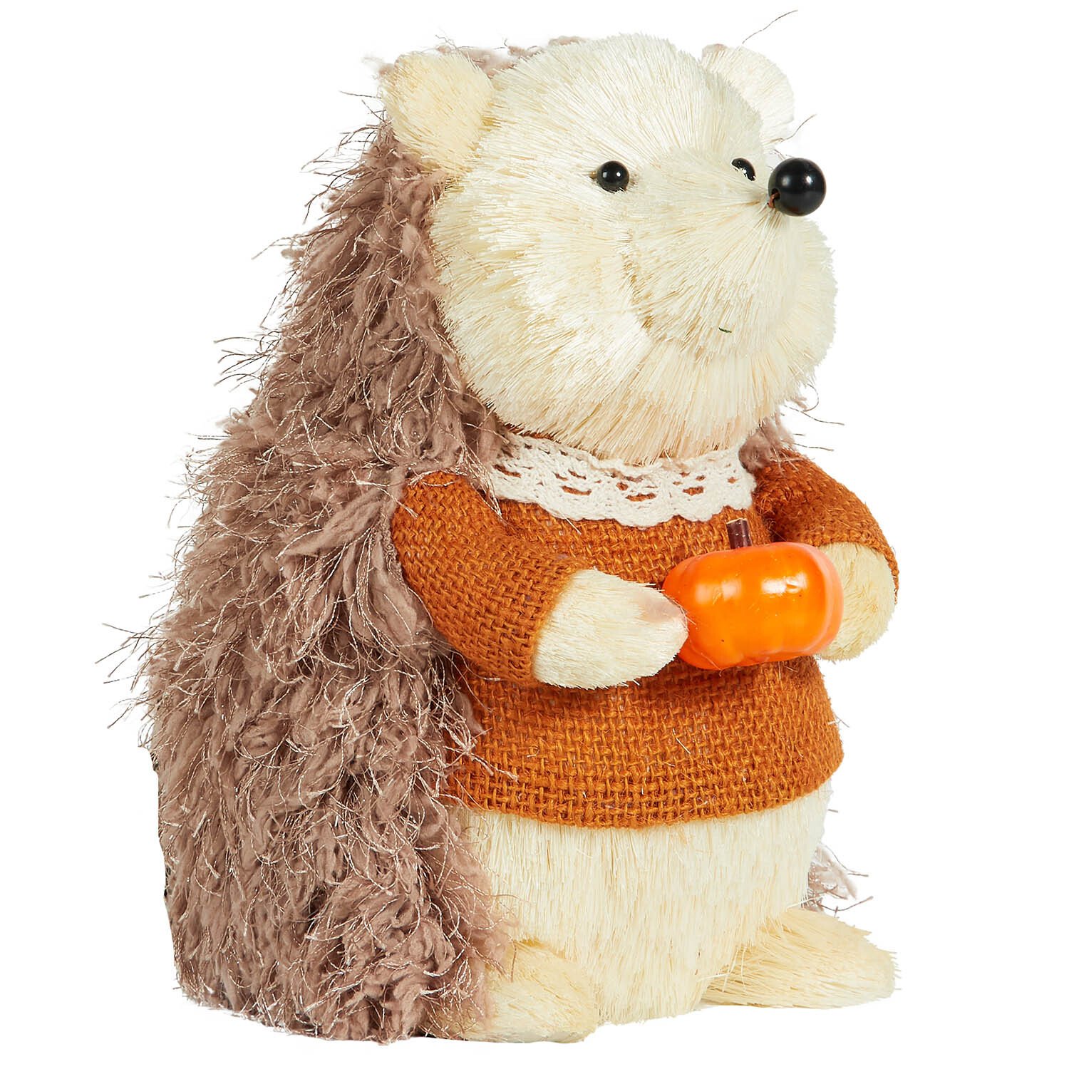 Autumnal Hedgehog Multicolour Image 1