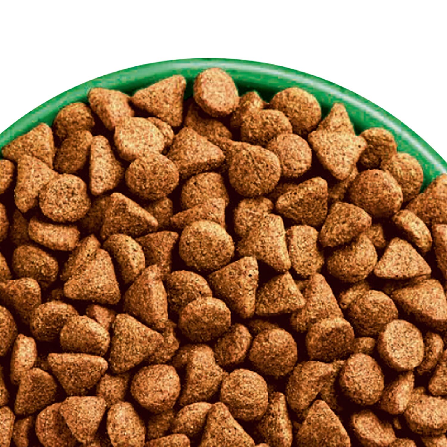 James Wellbeloved Turkey with Kale and Quinoa Dry Dog Food 1.5kg Image 5