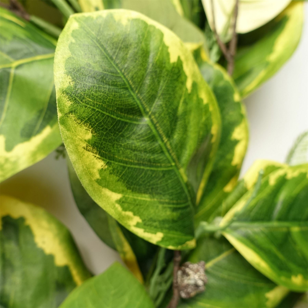 Leaf Trailing Golden Ficus Hanging Artificial Garland 180cm Image 2