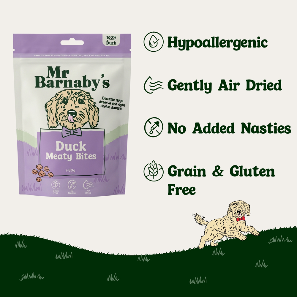 Mr Barnaby's Duck Meaty Bites Dog Treats 80g 2 Pack Image 5