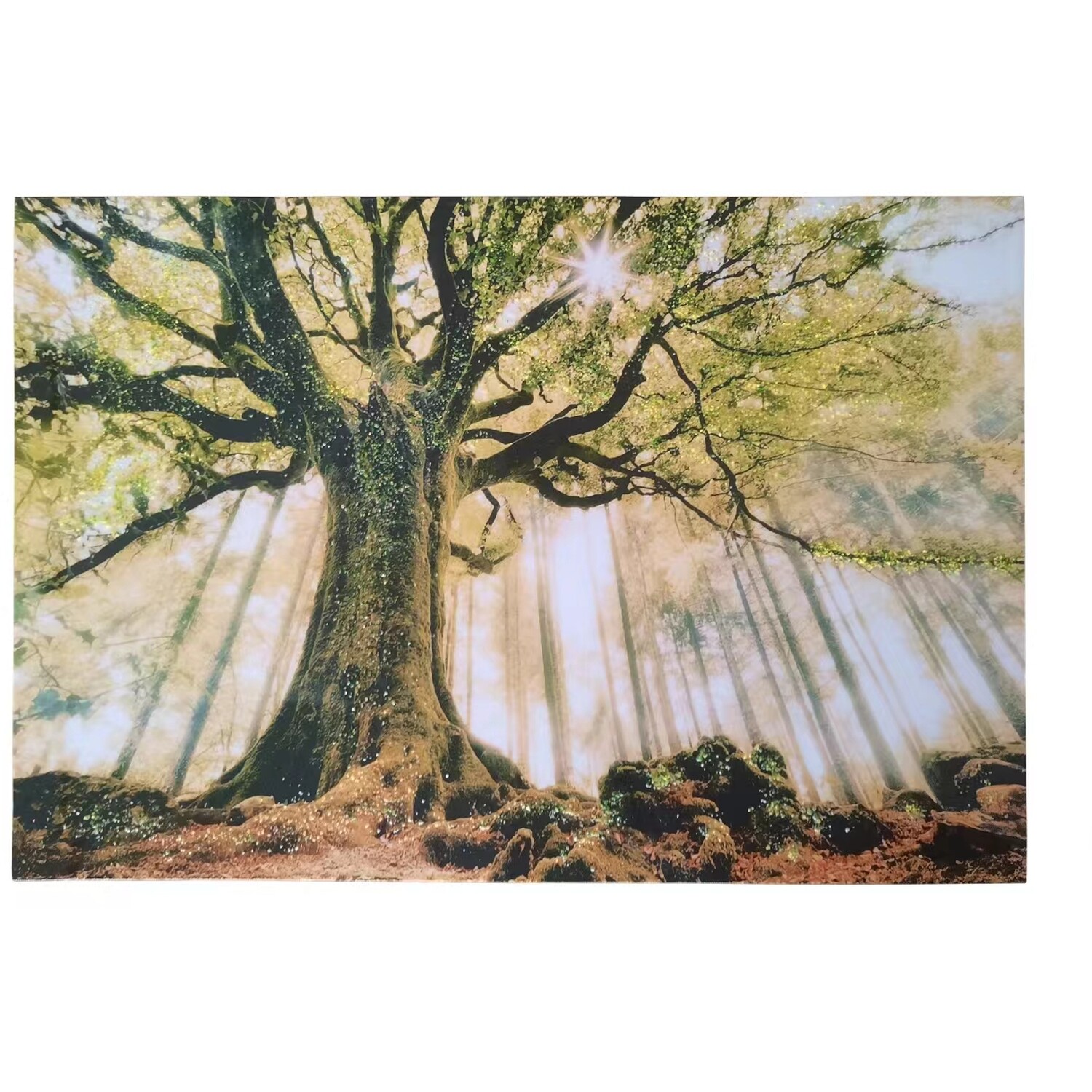 Sunlight Forest Gloss Canvas - Green Image 1