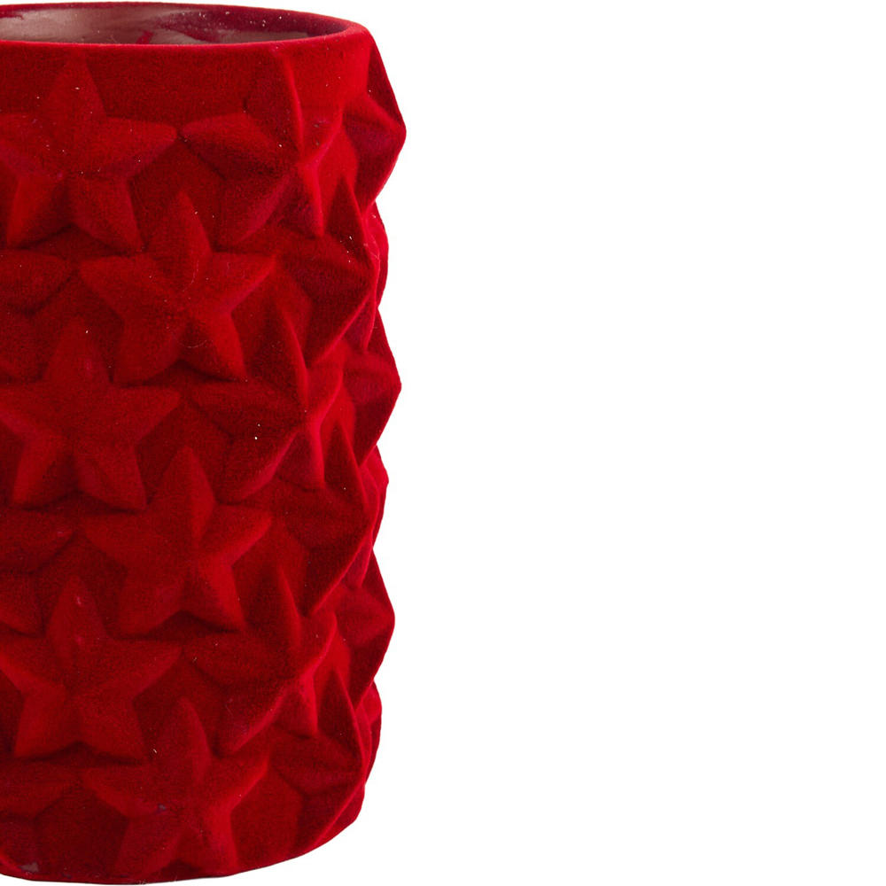 Flocked Star Pot Red Image 4
