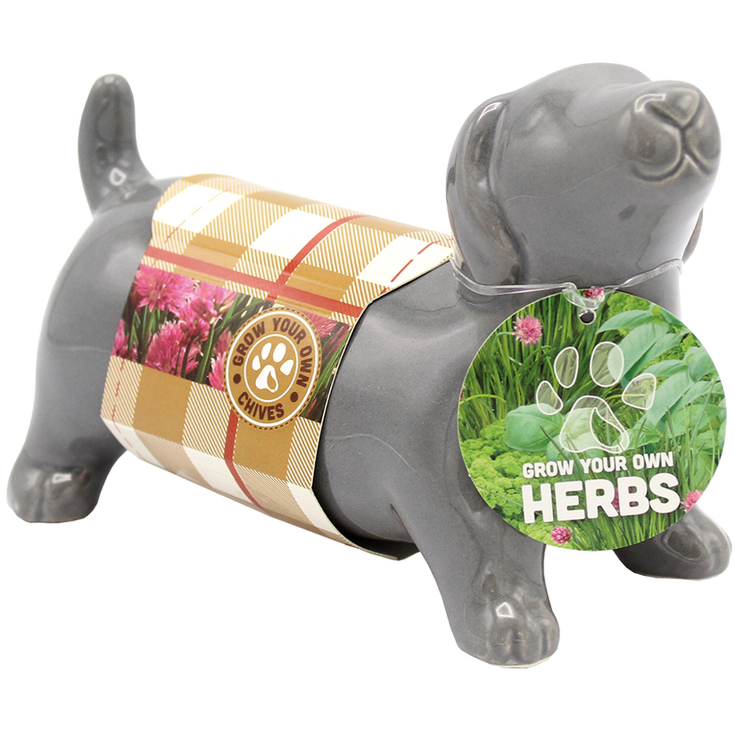 Sausage Dog Herb Planters - Multicolour Image 1