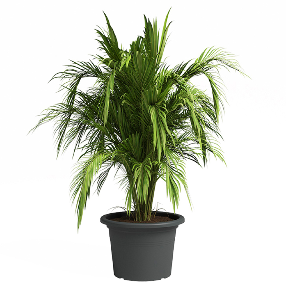 Artevasi Venezia Cilindro Anthracite Planter 40cm Image 3