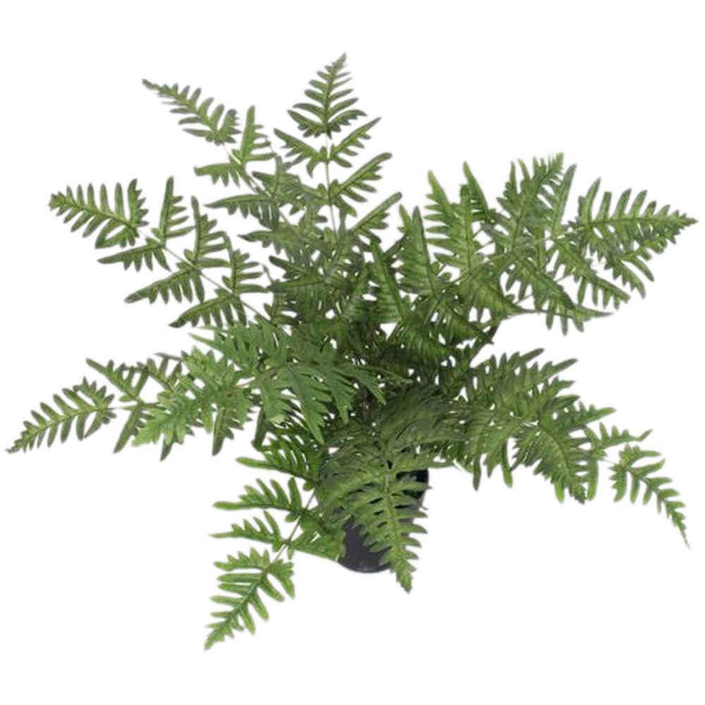 Leaf Luxury Evergreen Artificial Fern Plant Pot 1.6ft Image 3