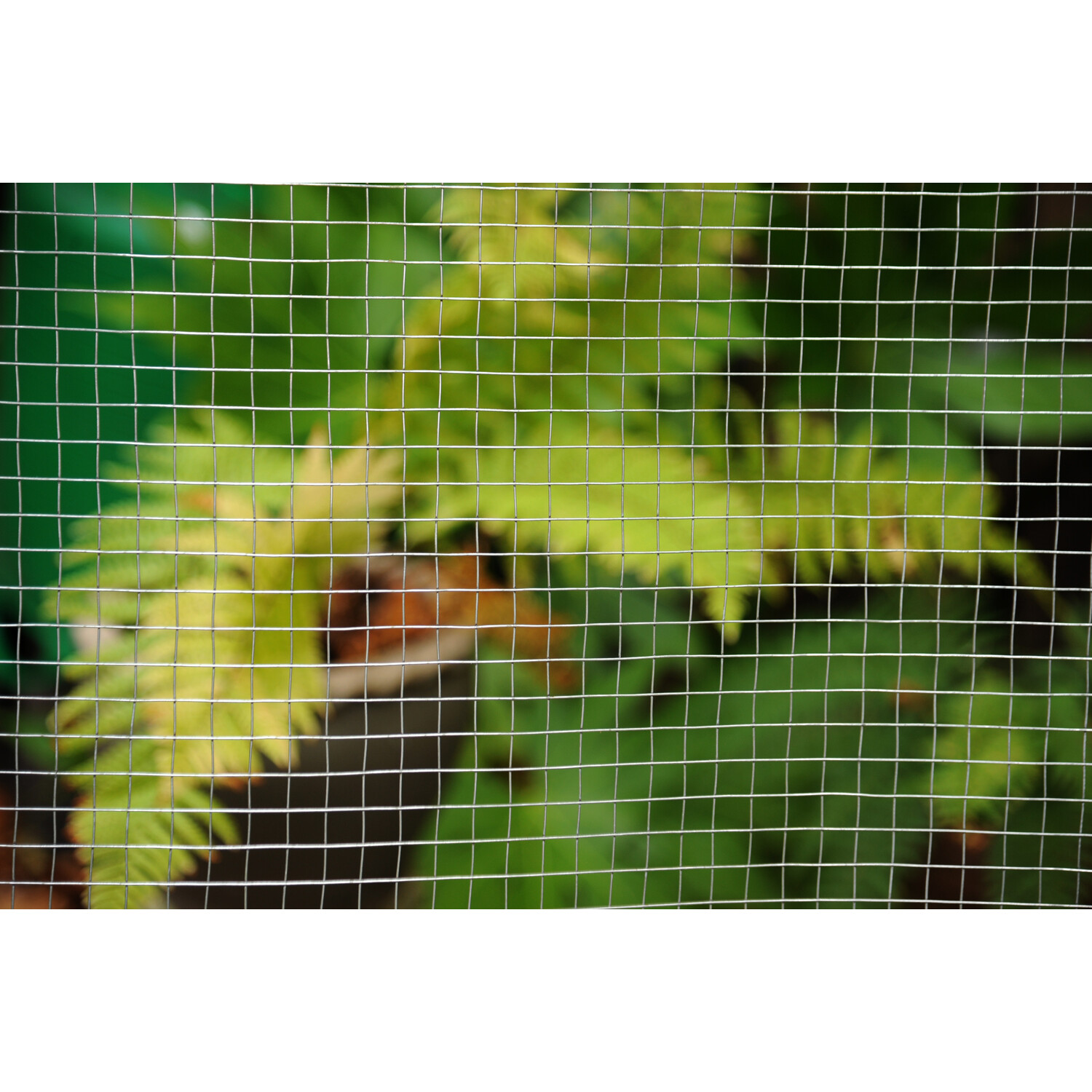 Welded Mesh Panel Steel - 13 x 25mm Mesh Size Image